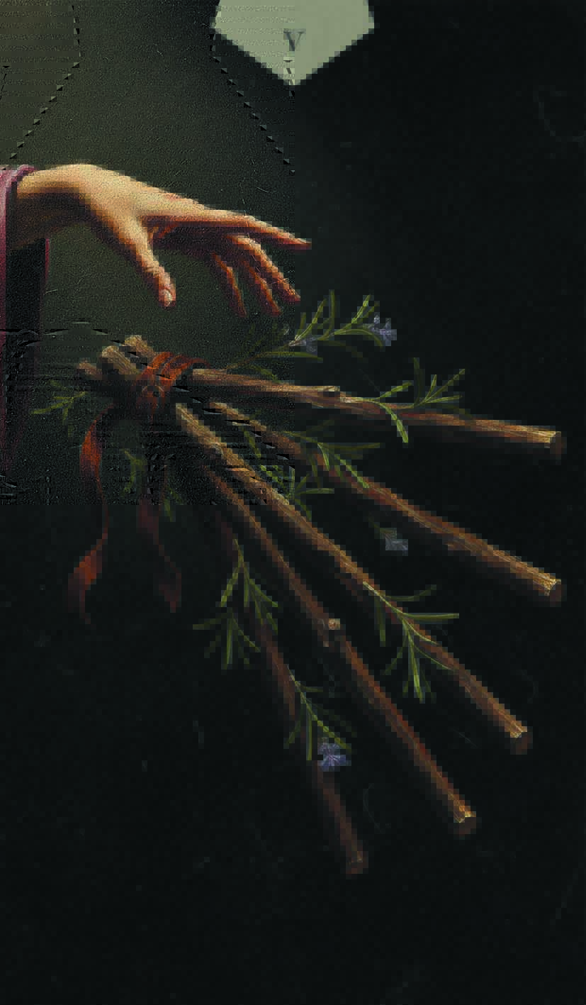 FIVE OF WANDS